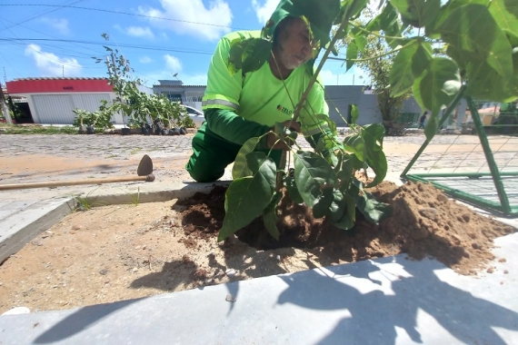 “Planta Natal” realiza plantio de 50 mudas de árvore na Av. Amintas Barros