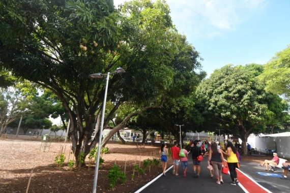 Prefeitura apresenta estudo de áreas disponíveis para plantio de novas árvores em Natal