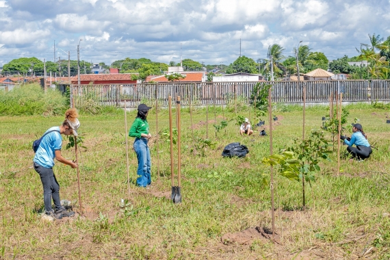 Prefeitura atinge a marca de mais de mil mudas de espécies nativas plantadas em 2025