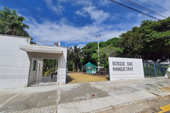 Feira de Agricultura Familiar e ações educativas movimentam o Bosque das Mangueiras no sábado (7)