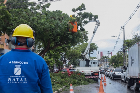 Prefeitura inicia nova etapa de podas de árvores em todas as zonas da capital