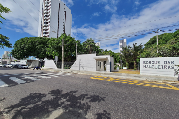 Bosque das Mangueiras recebe 1ª edição da feira de adoção Auê Pet no domingo (22)
