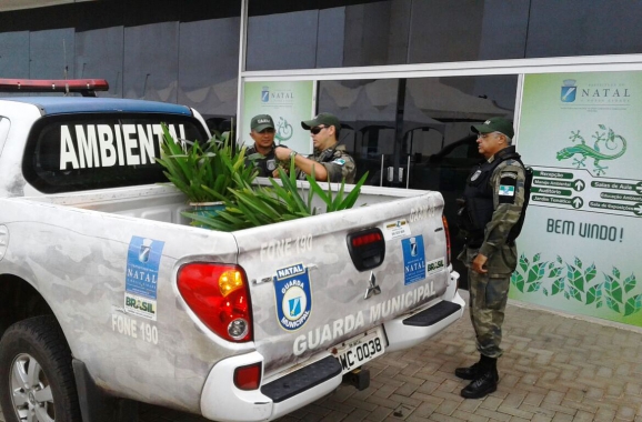 Guardas municipais recuperam orquídeas extraídas ilegalmente do Parque da Cidade