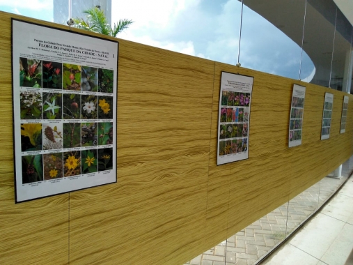 Dia da Biodiversidade terá exposições no Parque da Cidade    