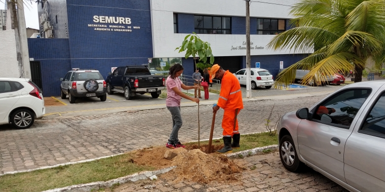 Árvores nativas devem substituir espécies exóticas em canteiro central em frente à Semurb 