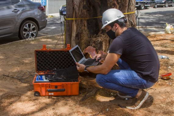 Semsur utiliza ultrassom para analisar saúde das árvores 