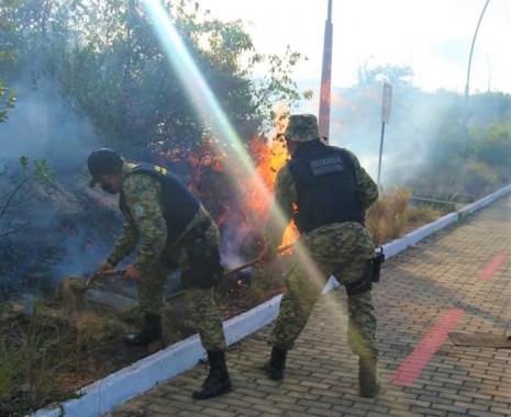 Guarda Municipal debela incêndio em área do Parque da Cidade do Natal 