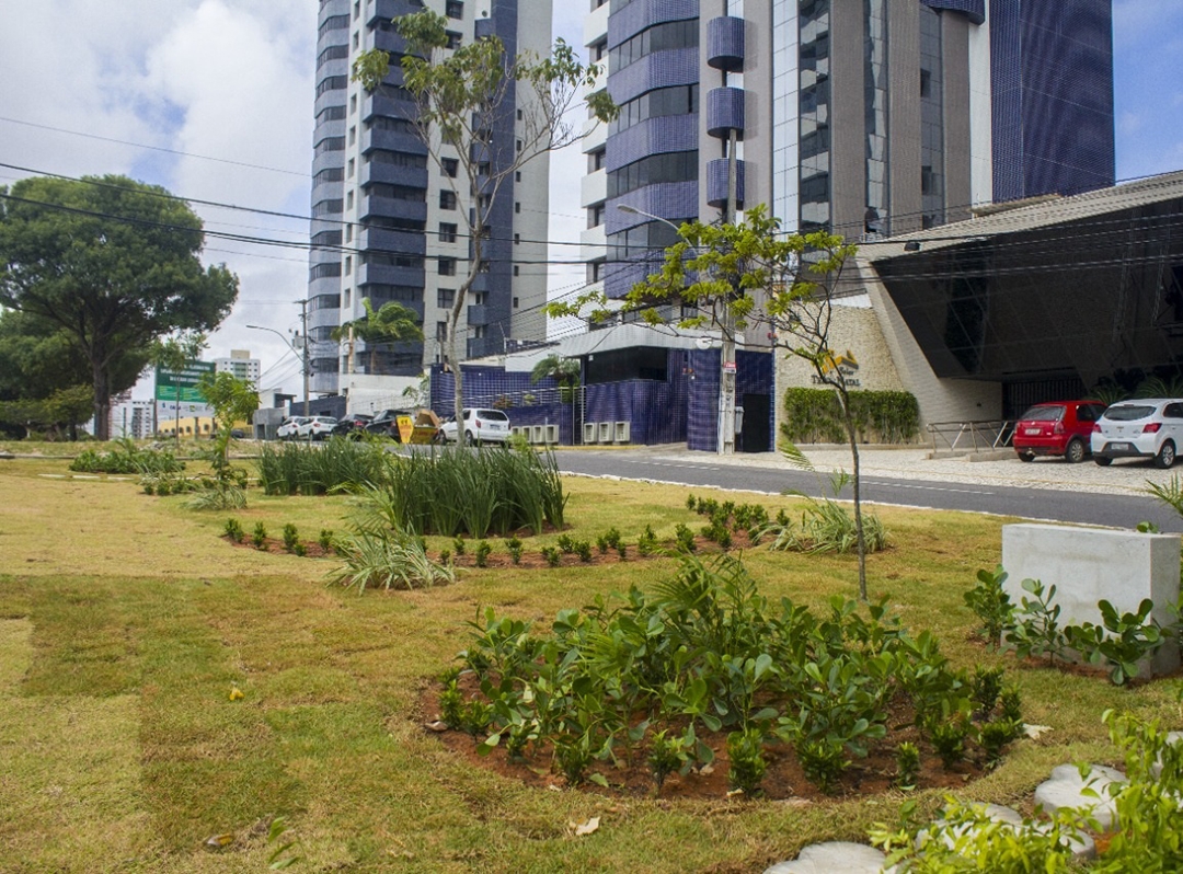 Programa Natal Mais Verde aprova adoção de novos canteiros