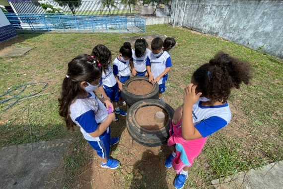 Crianças do CMEI Professora Rosalba Dias aprendem o cultivo de hortaliças