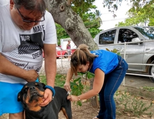 Prefeitura divulga locais para vacinação antirrábica deste sábado (02) em Natal 