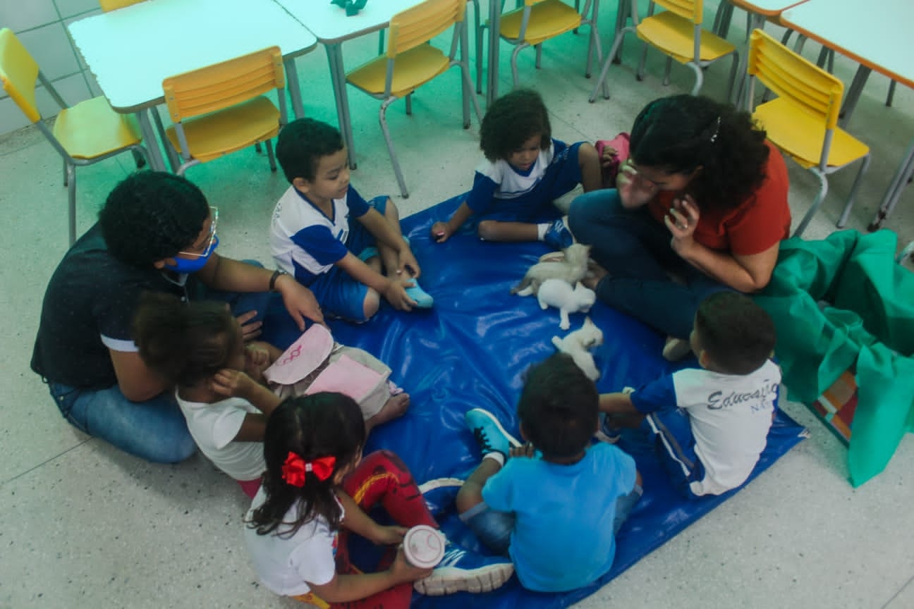 Crianças do CMEI Maria Luiza vivenciam contatos com animais e como evitar maus tratos