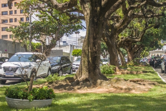 Natal Mais Verde aprova três novas adesões na zona Sul