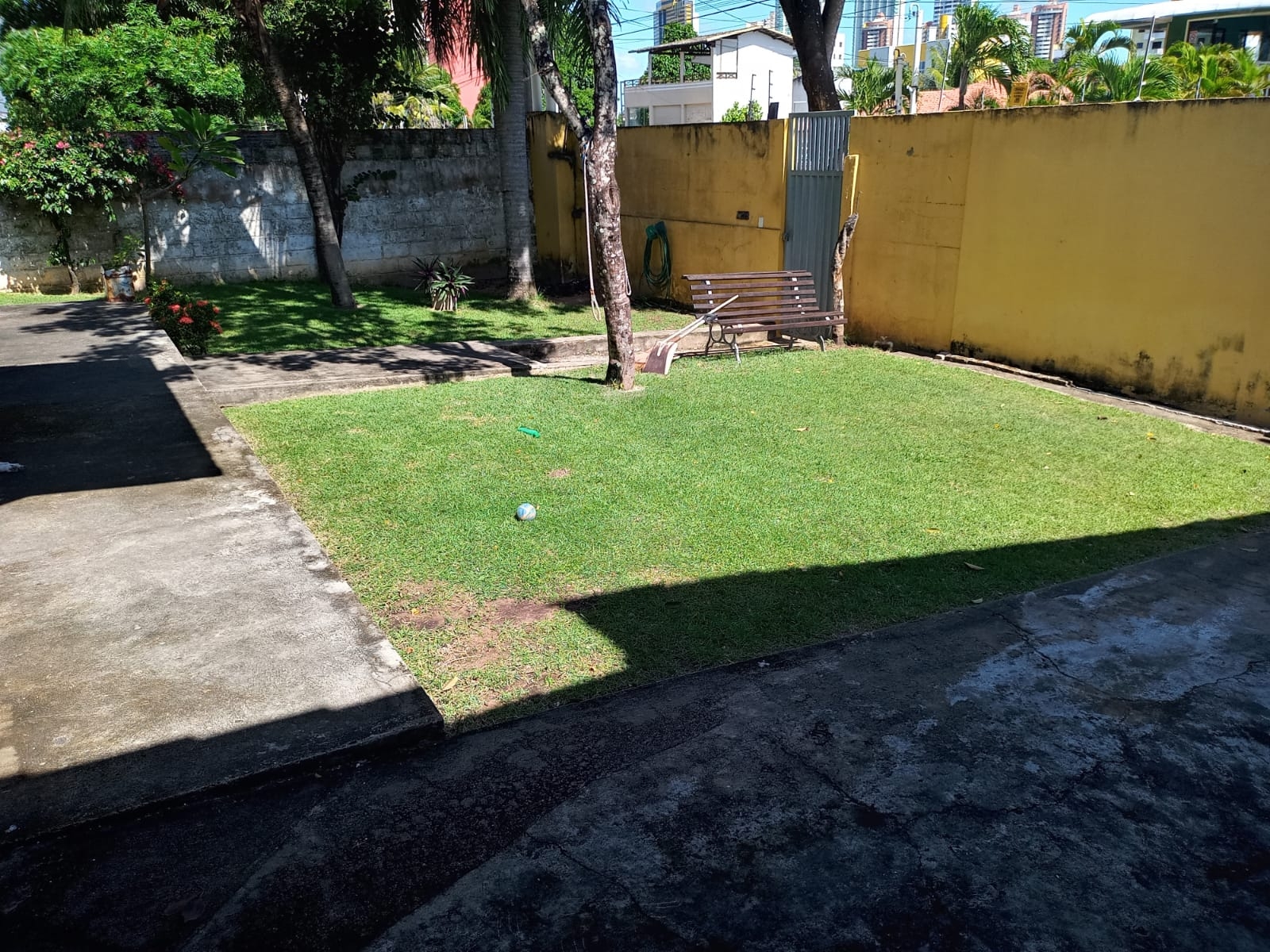 Imóveis devem ter área mínima de permeabilidade do solo para absorção de água da chuva