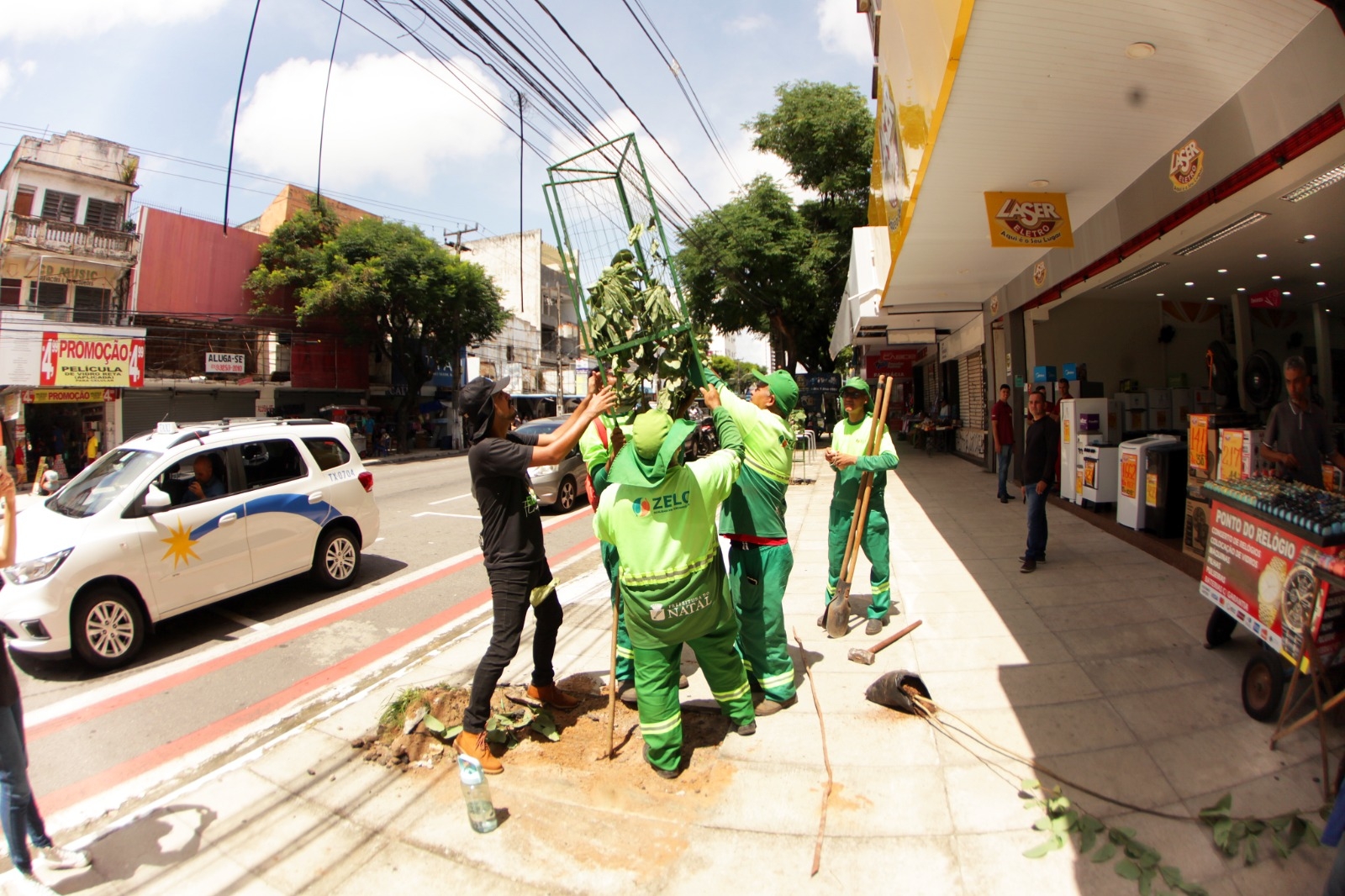Ação do Planta Natal amplia massa árborea da Avenida Rio Branco