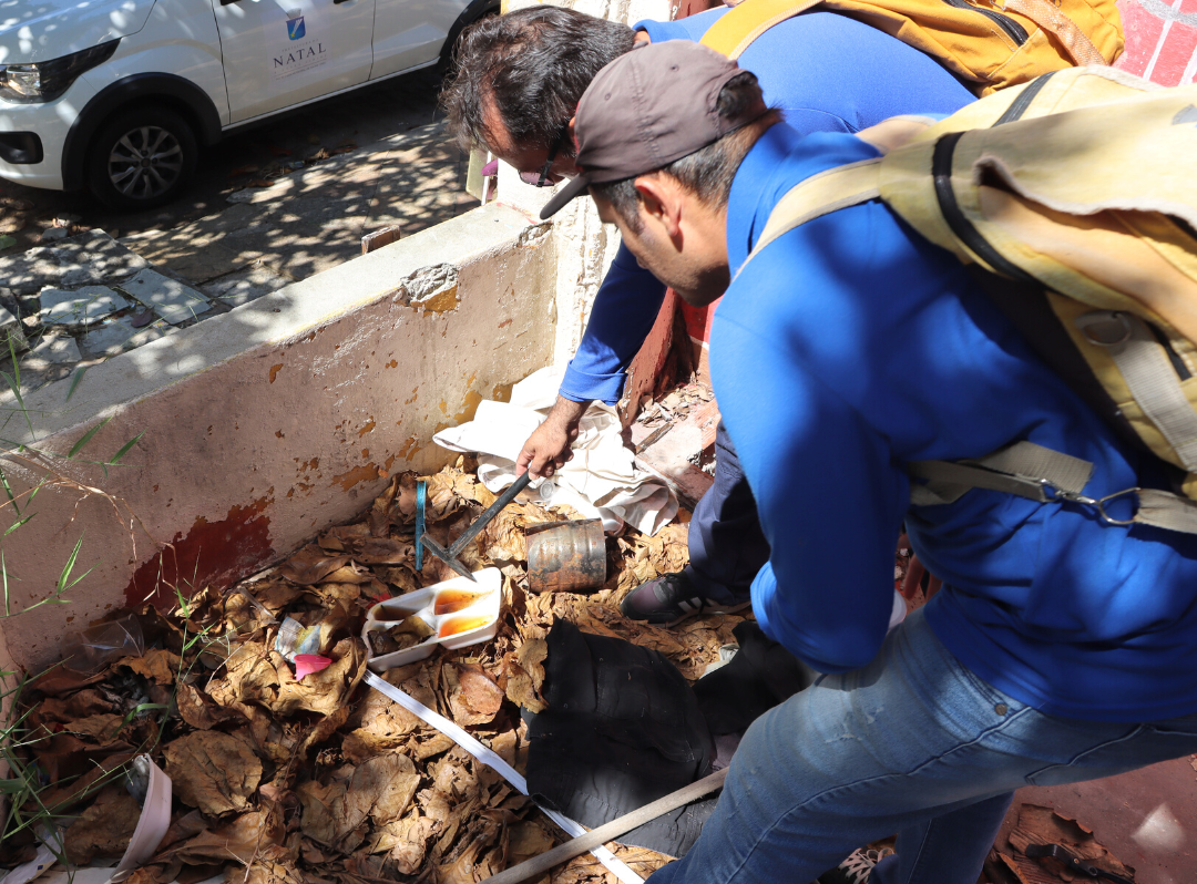 SMS realiza operação para eliminar foco de arboviroses em imóvel de Ponta Negra