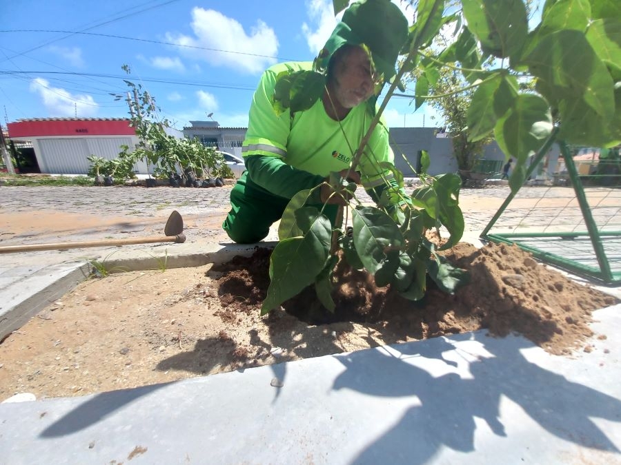 Planta Natal fará plantio de 100 árvores na cidade e reflorestamento às margens do rio Pitimbu