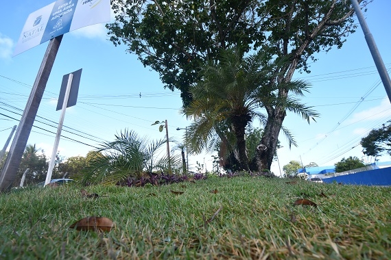 Natal Mais Verde tem novas adesões na Zona Leste