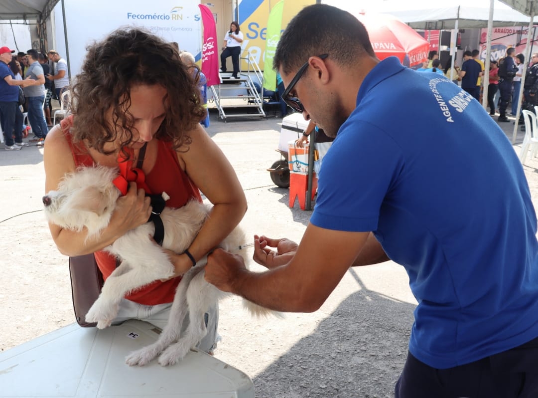 Natal retoma vacinação antirrábica porta a porta 