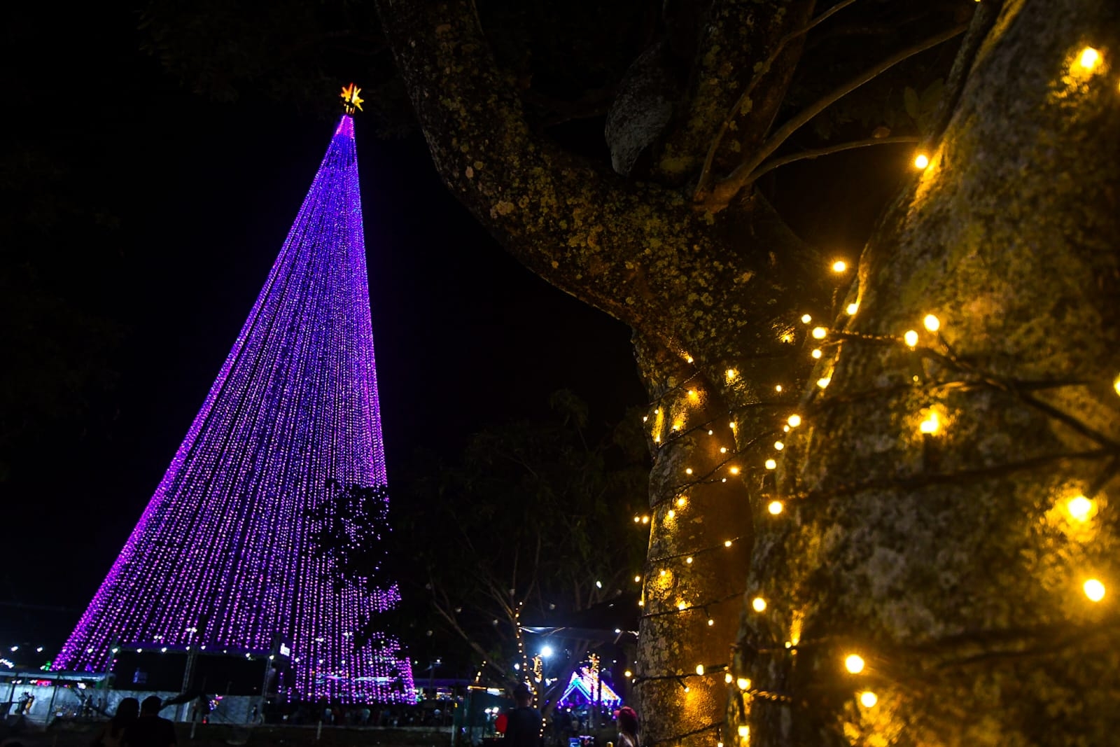 Prefeitura publica edital de cotas de patrocínio voltado para calendário de eventos 