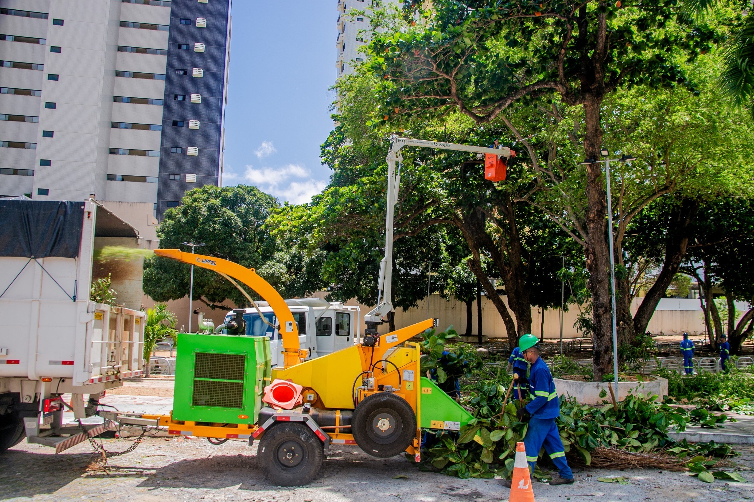 Podas preventivas avançam por todas as regiões de Natal