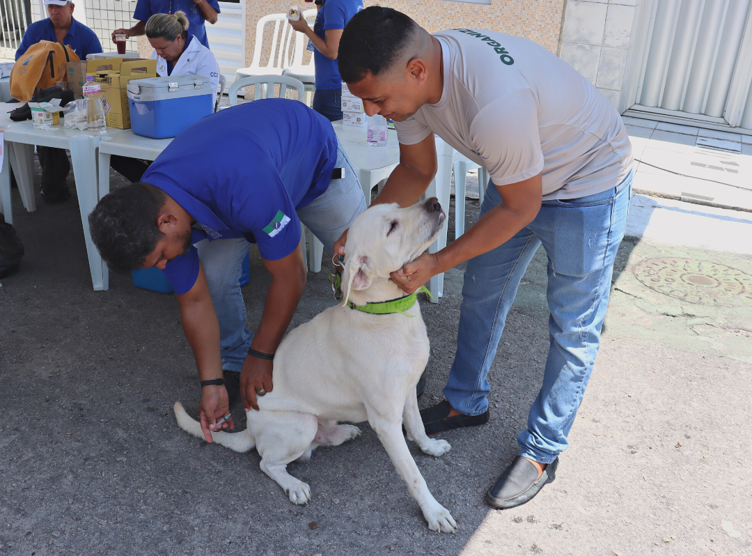 Pets tem acesso a serviços gratuitos em ação da Prefeitura do Natal neste sábado (26)
