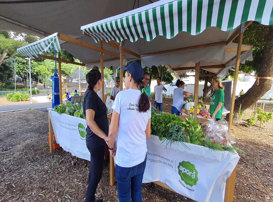 Semurb divulga resultado da seleção para a Feira de Agricultura no Bosque das Mangueiras