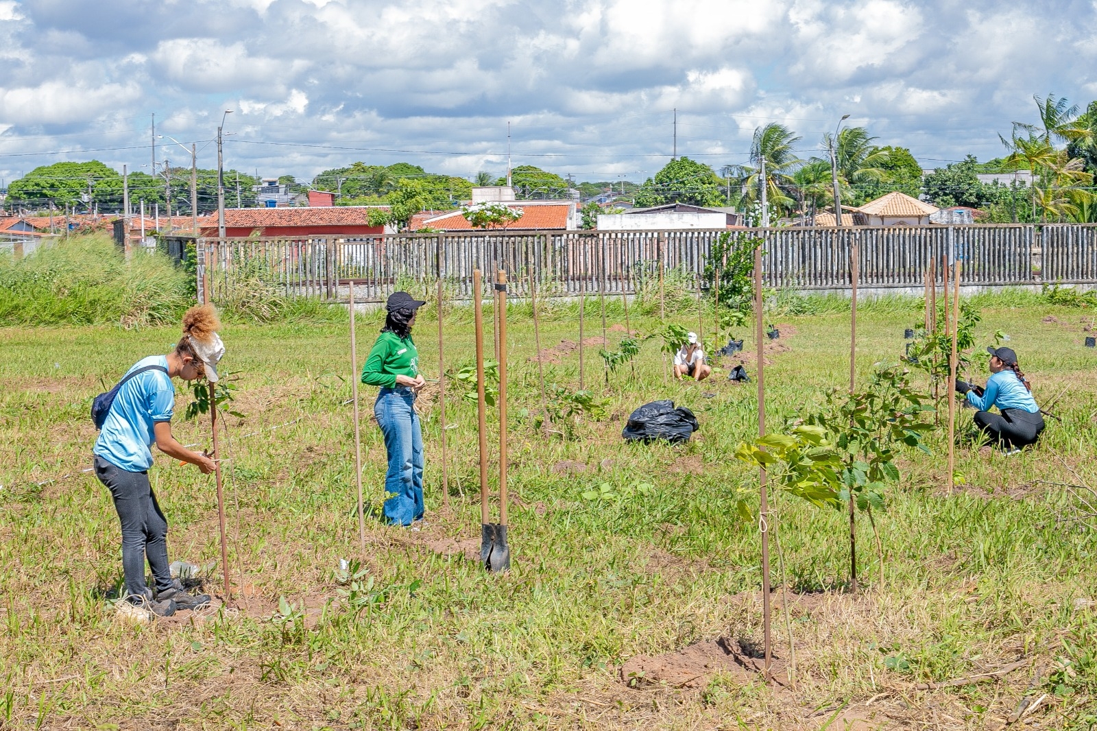 Prefeitura atinge a marca de mais de mil mudas de espécies nativas plantadas em 2025