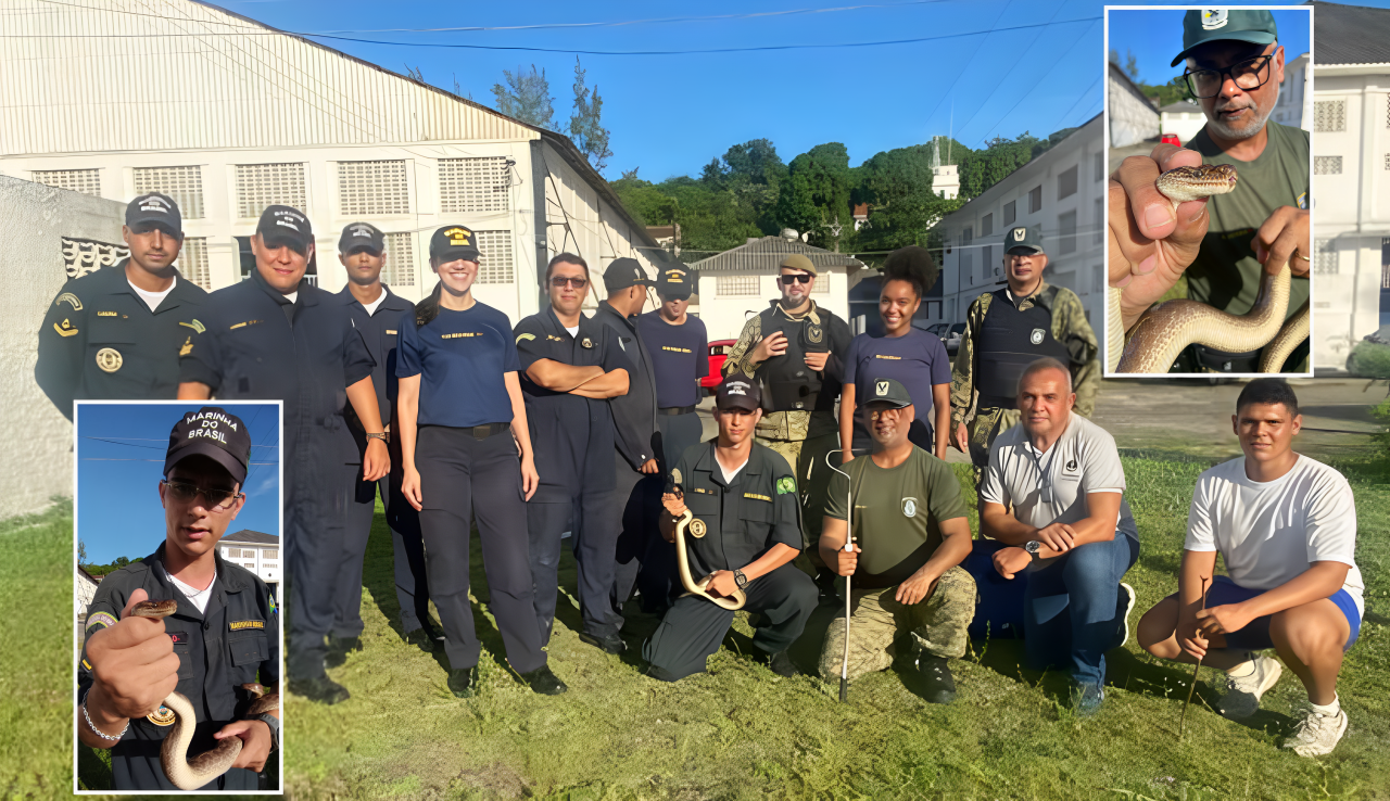 Grupamento Ambiental da GMN treina militares da Base Naval em manejo de serpentes