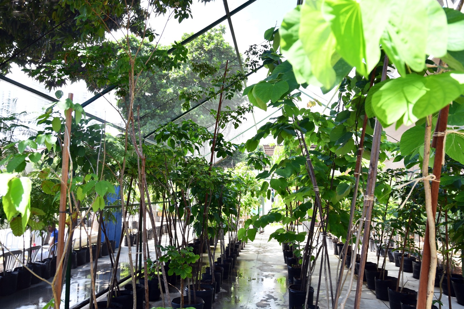 Prefeitura do Natal realiza vivência ecológica inclusiva no Espaço Natal Sustentável