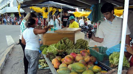 Prefeitura vai instalar Feiras Populares de Agricultura Familiar