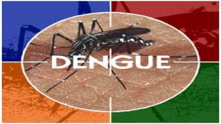 Especialistas debatem Dengue na pr&oacute;xima quinta-feira