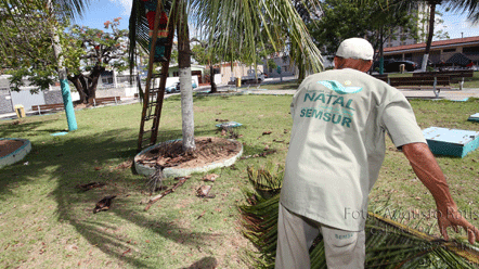 Pra&ccedil;a Santa M&ocirc;nica ser&aacute; recuperada e contar&aacute; com Academia da Terceira Idade