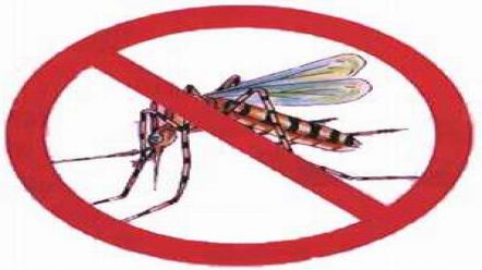 Secret&aacute;rio municipal de Sa&uacute;de compara n&uacute;meros da Dengue 