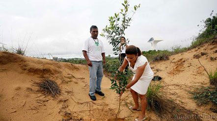 Parque da Cidade recebe o plantio de 200 mudas de &aacute;rvores