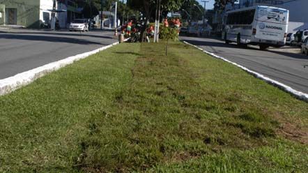 Grama do Machad&atilde;o &eacute; replantada nos canteiros da Hermes da Fonseca