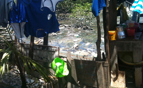 Zona de Prote&ccedil;&atilde;o Ambiental da regi&atilde;o do mangue &eacute; visitada por t&eacute;cnicos da Semurb