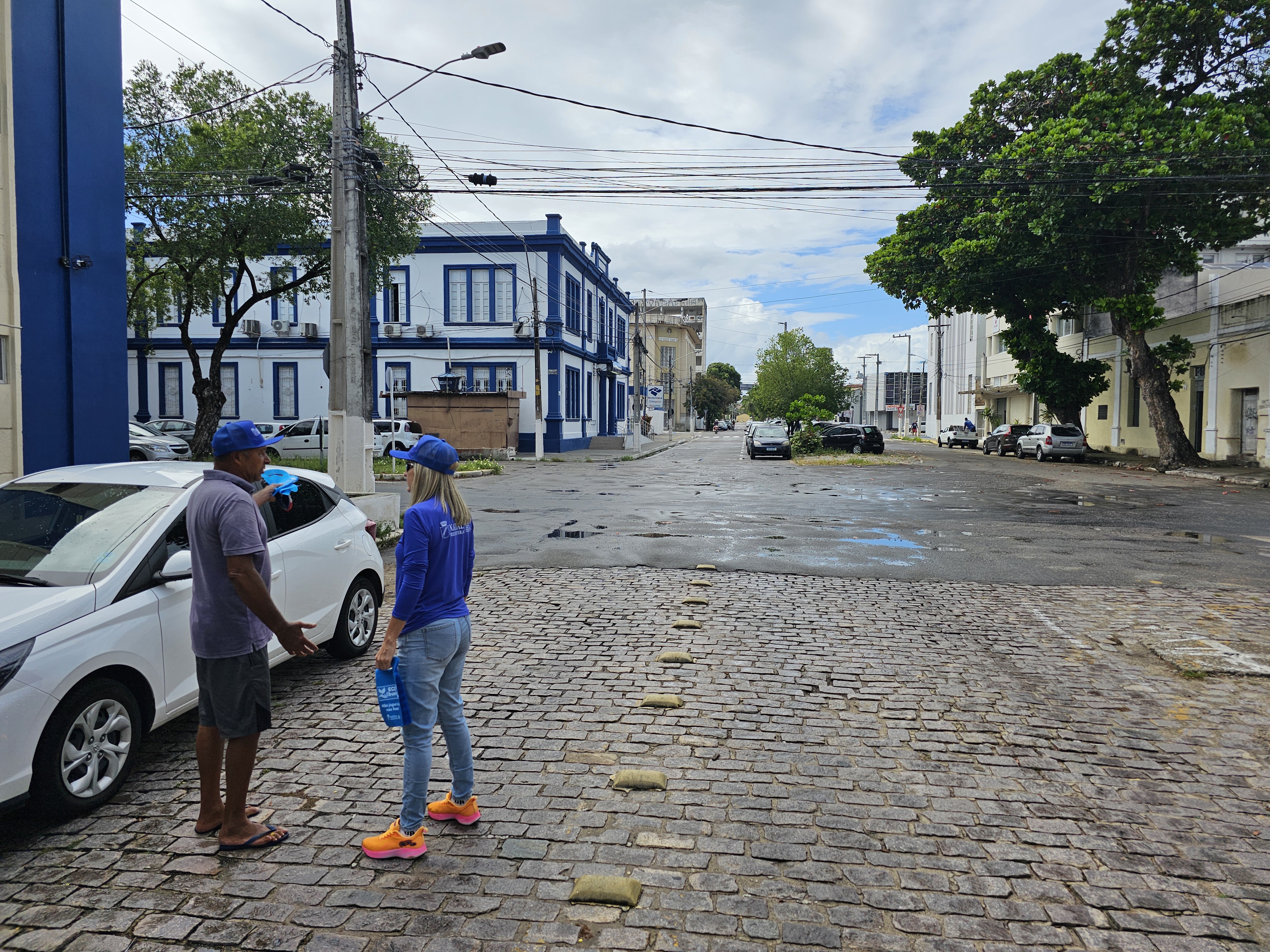 meio ambiente